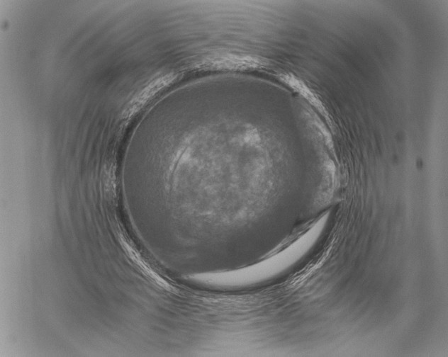 X0000062650581200601040920