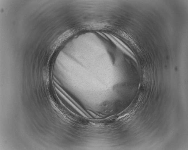 X0000062650582200601040920