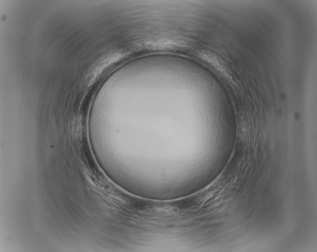 X0000062650583200601040920