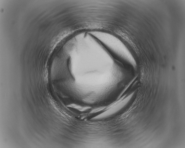 X0000062650584200601040920