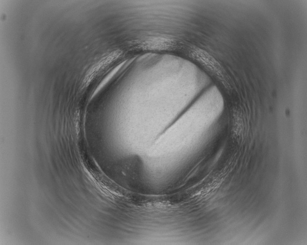 X0000062650586200601040920