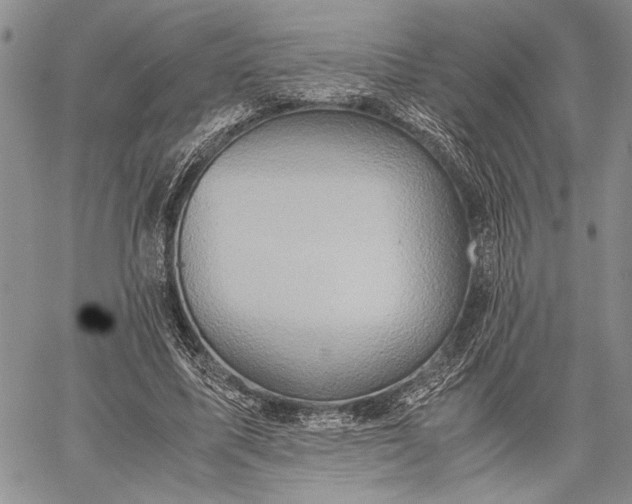 X0000062650587200601040920