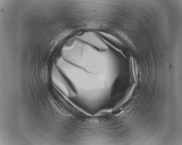 X0000062650588200601040920