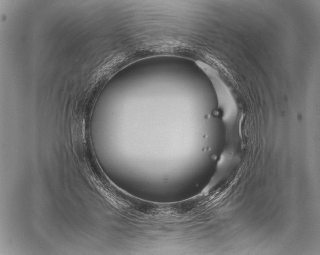 X0000062650589200601040920