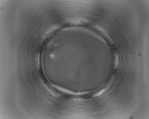 X0000062650590200601040920