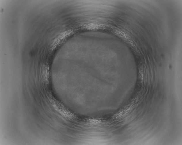 X0000062650592200601040920