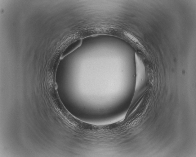 X0000062650593200601040920