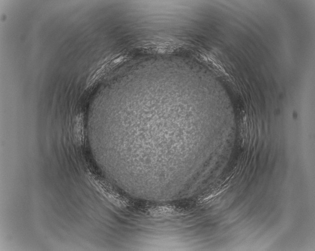 X0000062650594200601040920