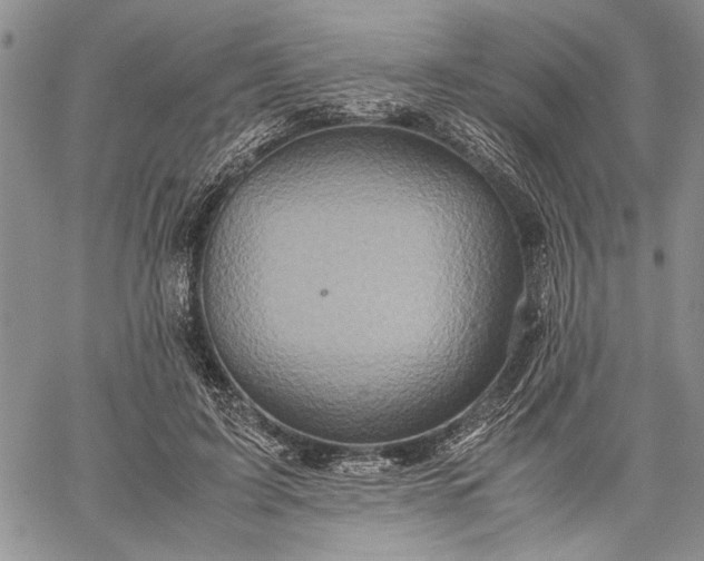 X0000062650595200601040920