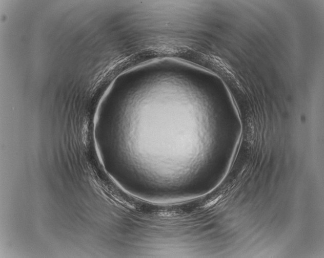 X0000062650596200601040920