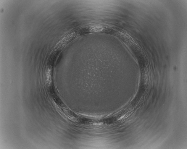 X0000062650598200601040920