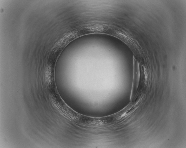 X0000062650600200601040920