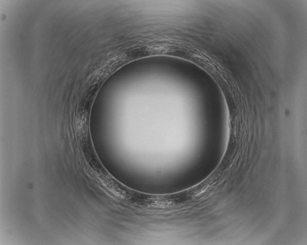 X0000062650601200601040920