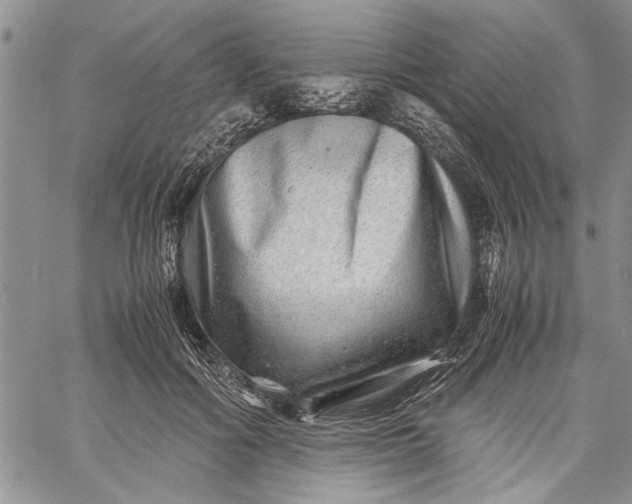 X0000062650602200601040920