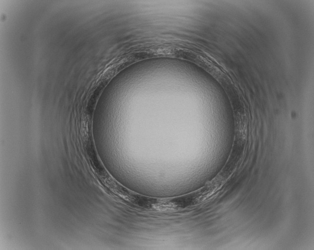 X0000062650603200601040920