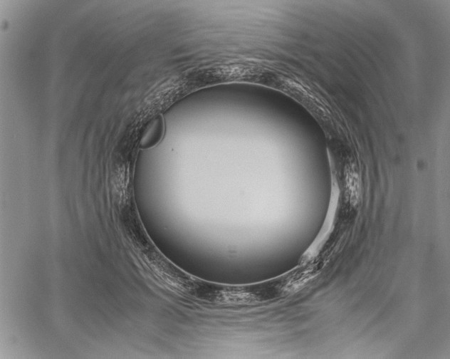 X0000062650605200601040920