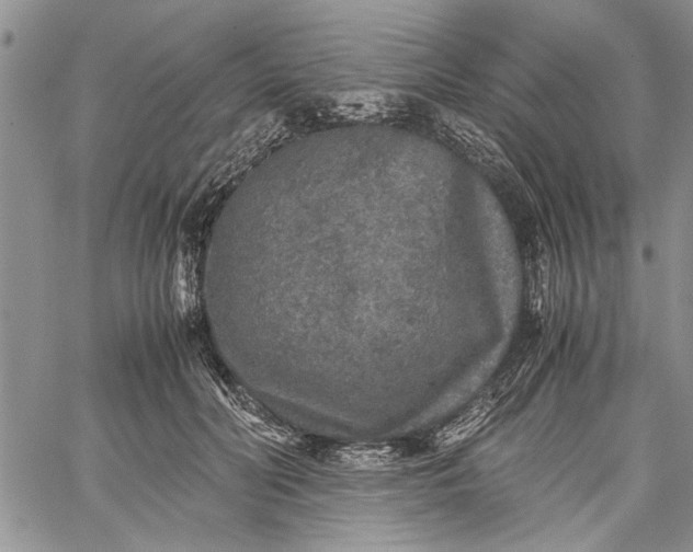 X0000062650606200601040920