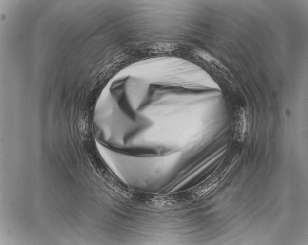 X0000062650608200601040920