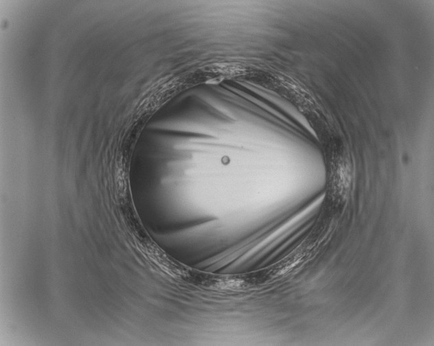 X0000062650609200601040920