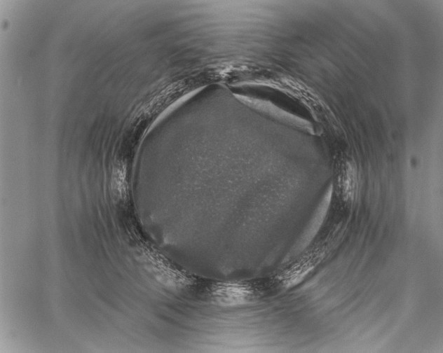 X0000062650610200601040920