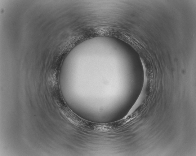 X0000062650611200601040920