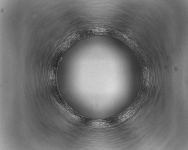 X0000062650614200601040920