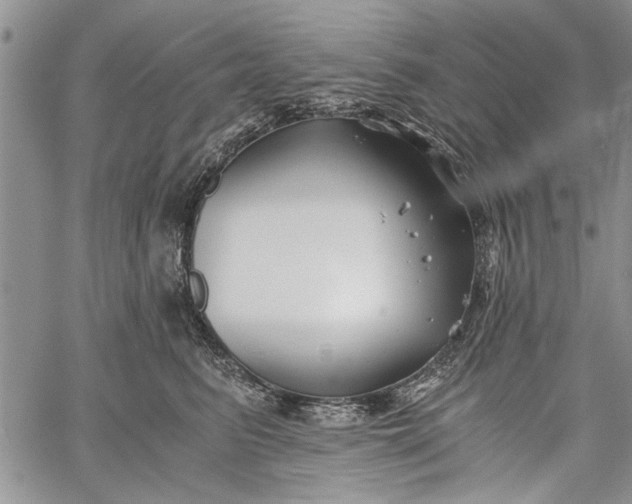 X0000062650615200601040920