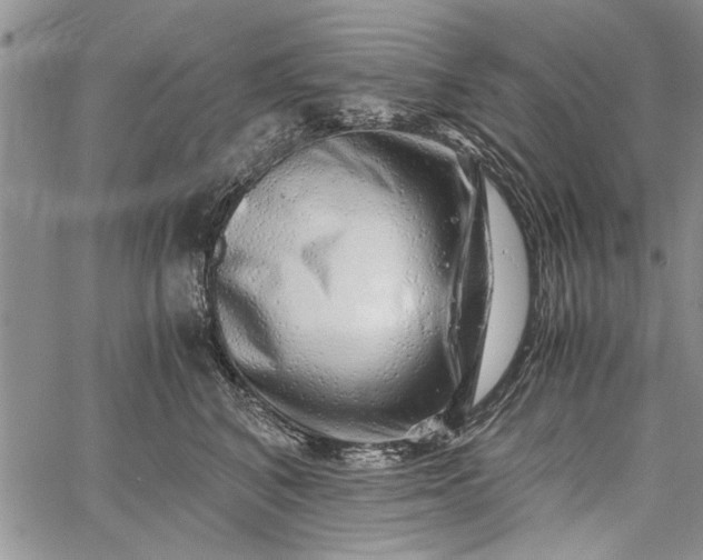 X0000062650616200601040920