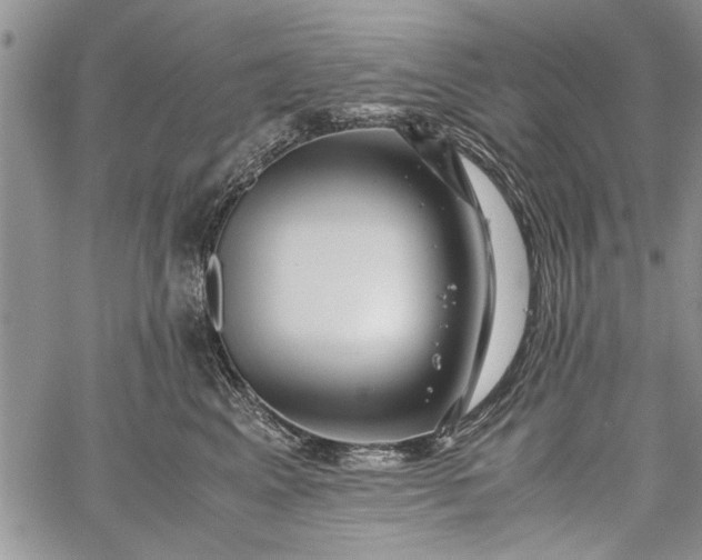 X0000062650617200601040920