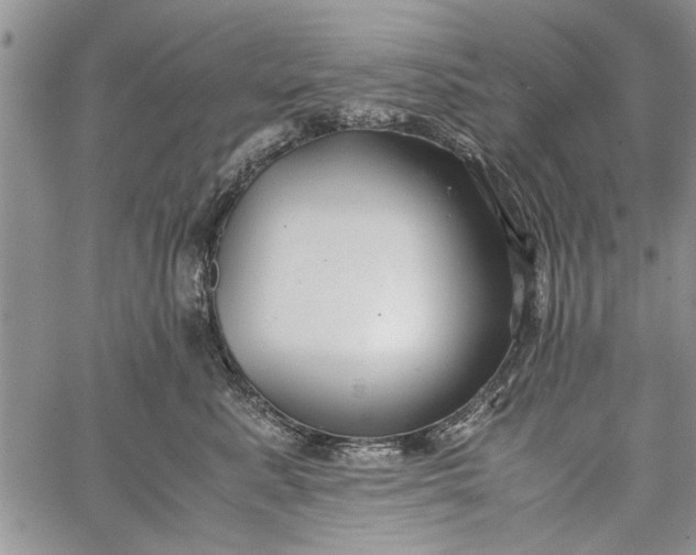 X0000062650619200601040919