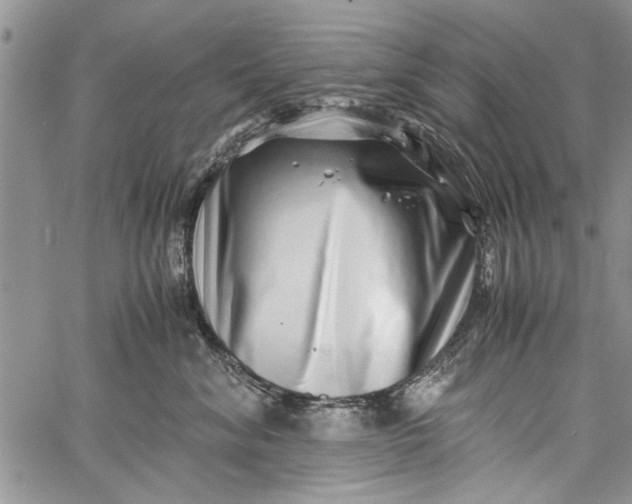 X0000062650620200601040919