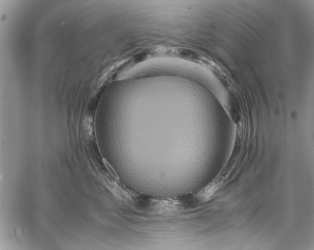 X0000062650621200601040919