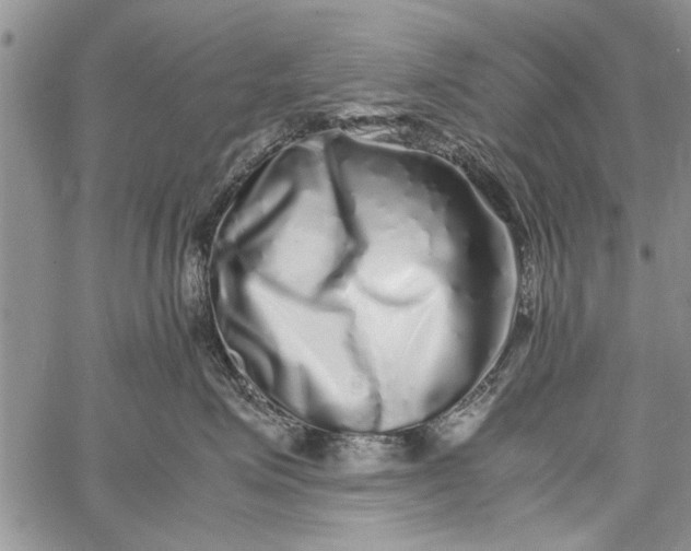 X0000062650623200601040919