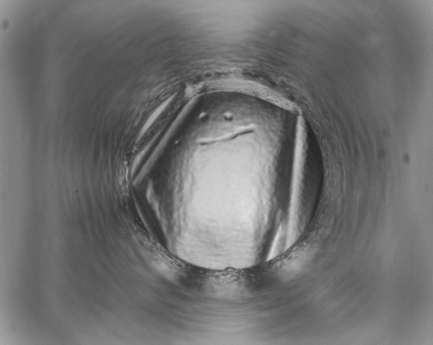 X0000062650624200601040919