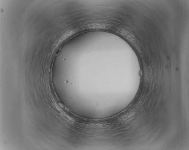 X0000062650625200601040919