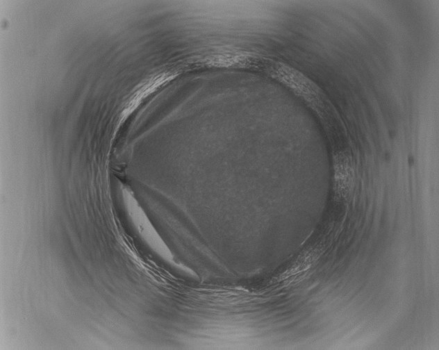 X0000062650626200601040919