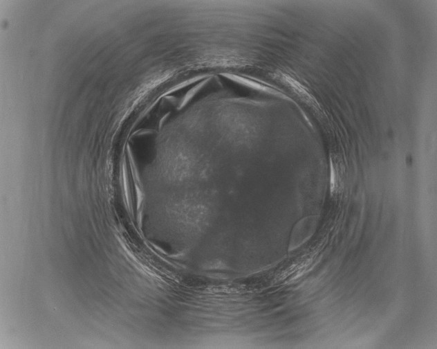 X0000062650627200601040919