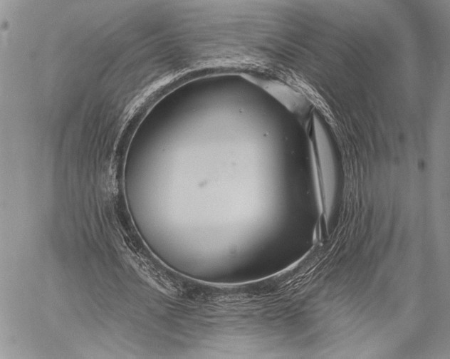 X0000062650628200601040919