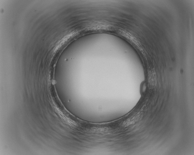 X0000062650629200601040919