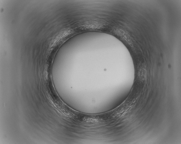 X0000062650635200601040919