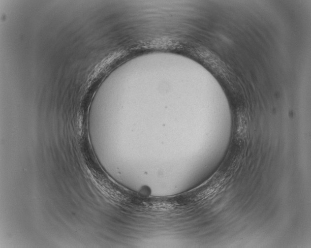 X0000062650636200601040919