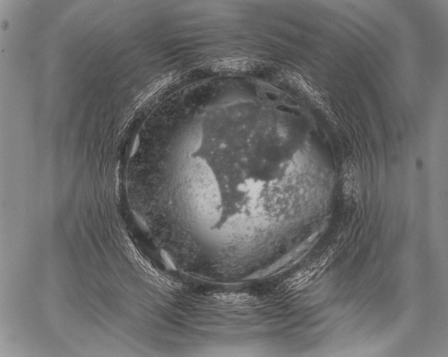 X0000062650637200601040919