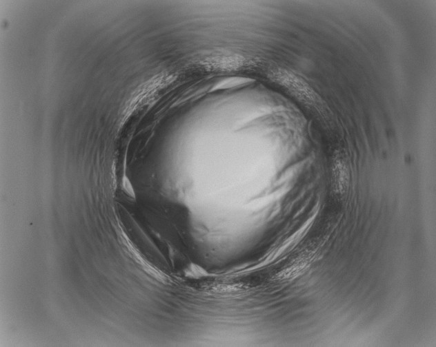 X0000062650638200601040919