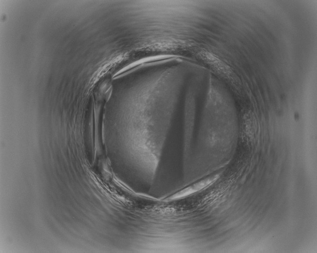 X0000062650640200601040919