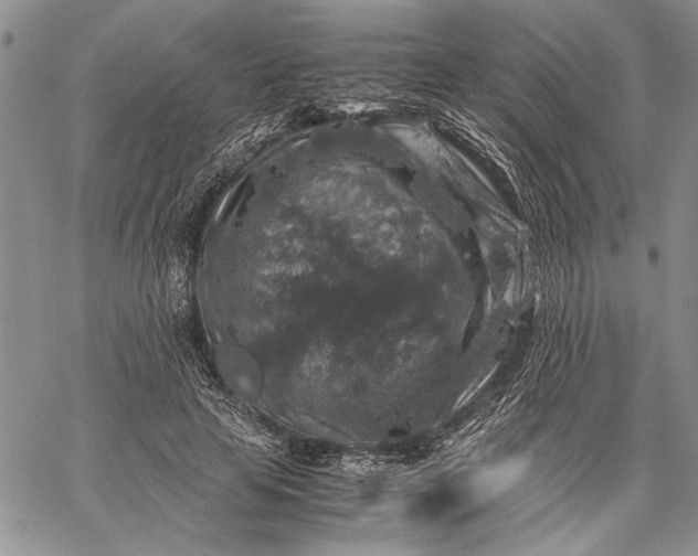 X0000062650641200601040919