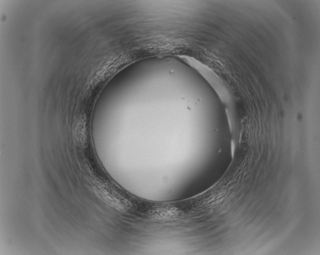 X0000062650642200601040919