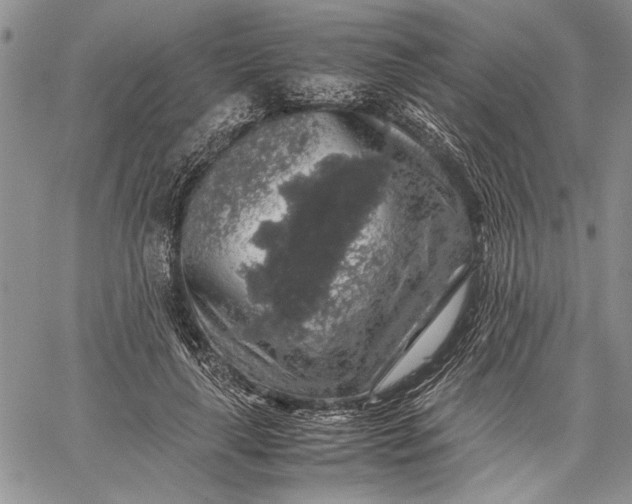 X0000062650643200601040919