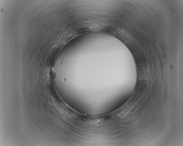 X0000062650646200601040919