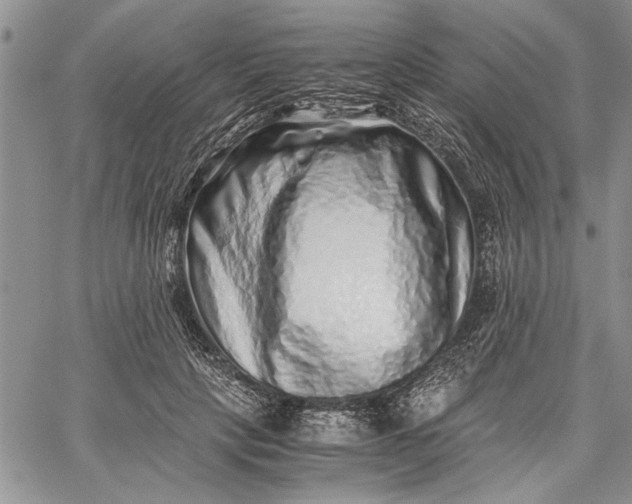 X0000062650649200601040919