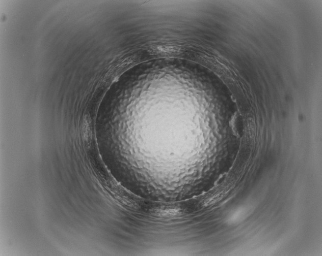 X0000062650651200601040919